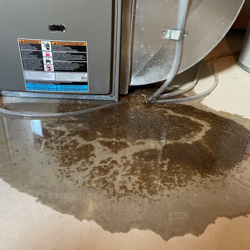 Appliance Leak Cleanup in De Graff, OH