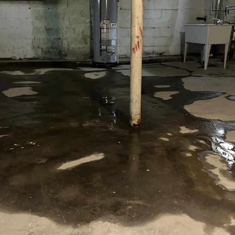 Emergency Water Extraction And Removal in De Graff, OH